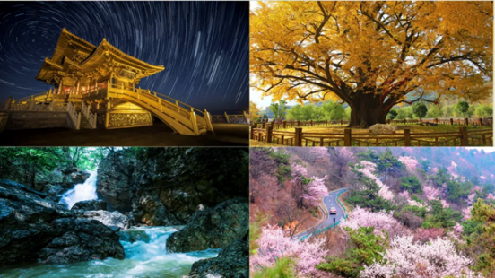 1762249625546395.png 微信图片_20251104174104_35_35.png